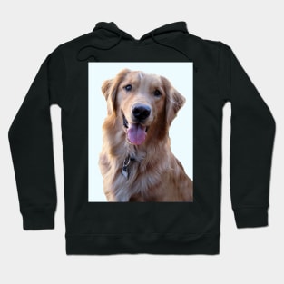 Golden Retriever Dog Portrait Hoodie